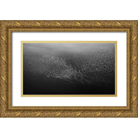 Morning Flight Gold Ornate Wood Framed Art Print with Double Matting by Chang, Phillip