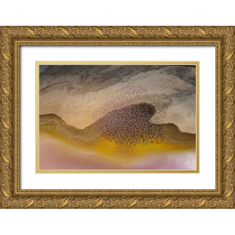 Crossing Natron Lake Gold Ornate Wood Framed Art Print with Double Matting by Chang, Phillip