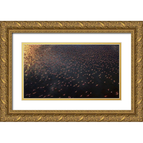 Flamingo Gold Ornate Wood Framed Art Print with Double Matting by Chang, Phillip