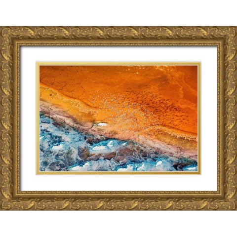 Colorful Gold Ornate Wood Framed Art Print with Double Matting by Chang, Phillip