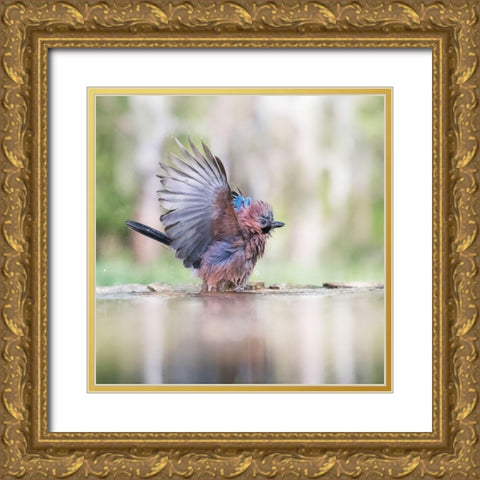 Summer day Gold Ornate Wood Framed Art Print with Double Matting by Chang, Phillip