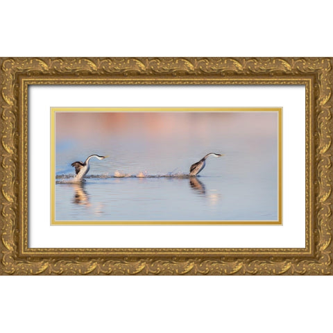 Chase After Gold Ornate Wood Framed Art Print with Double Matting by Chang, Phillip
