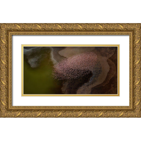 Beautiful flower Gold Ornate Wood Framed Art Print with Double Matting by Chang, Phillip