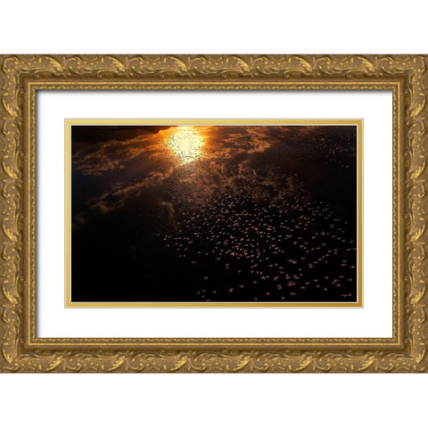 Late flying Gold Ornate Wood Framed Art Print with Double Matting by Chang, Phillip