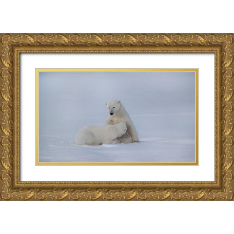 Feeding Gold Ornate Wood Framed Art Print with Double Matting by Chang, Phillip