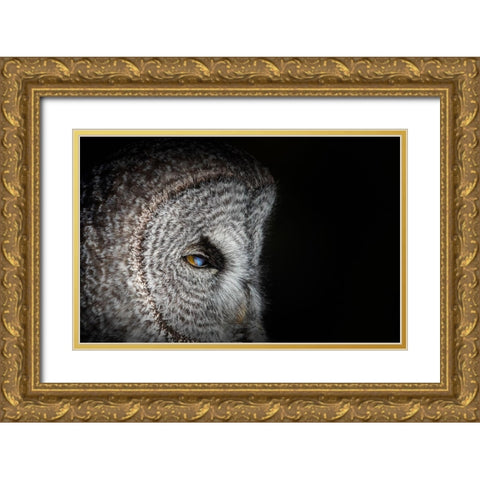 Never mind Gold Ornate Wood Framed Art Print with Double Matting by Chang, Phillip