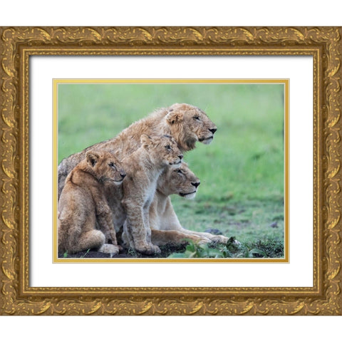 In the rain Gold Ornate Wood Framed Art Print with Double Matting by Chang, Phillip