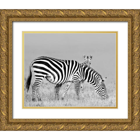 Baby and Mom Gold Ornate Wood Framed Art Print with Double Matting by Chang, Phillip