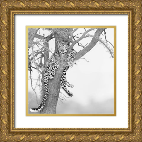 Stand high see far Gold Ornate Wood Framed Art Print with Double Matting by Chang, Phillip