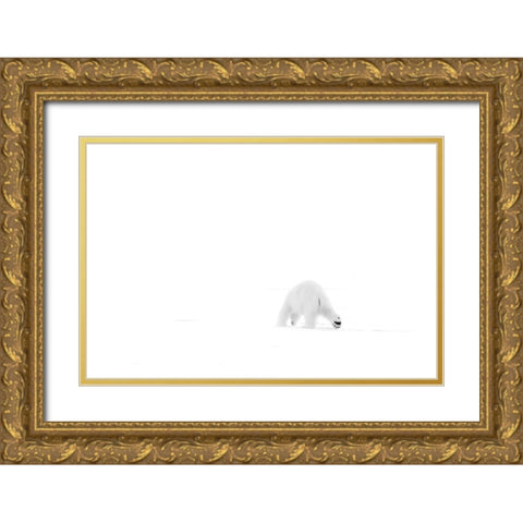 Looking for food Gold Ornate Wood Framed Art Print with Double Matting by Chang, Phillip