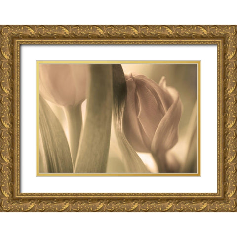 Tulips Gold Ornate Wood Framed Art Print with Double Matting by Wallberg, Allan