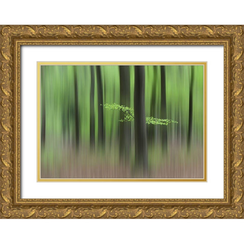 Spring Morning Gold Ornate Wood Framed Art Print with Double Matting by Limberg, Huib