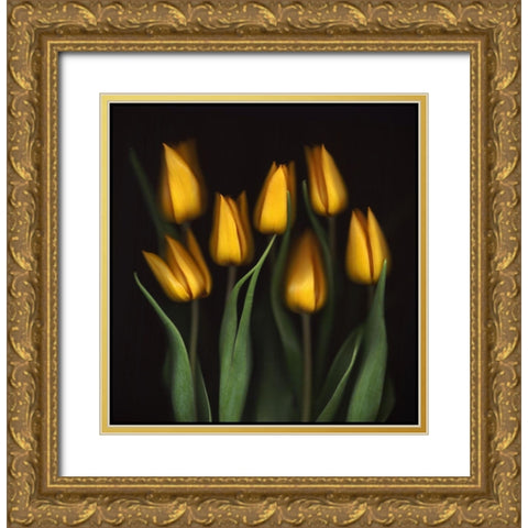 Tulips Gold Ornate Wood Framed Art Print with Double Matting by Haslam, Brian