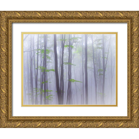 Misty Gold Ornate Wood Framed Art Print with Double Matting by Manzoni, Michel