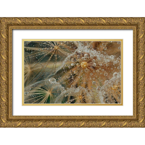 Starless Gold Ornate Wood Framed Art Print with Double Matting by Filosofo, El