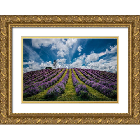 Unforgettable summer Gold Ornate Wood Framed Art Print with Double Matting by Dujic LightHunter, Zoran