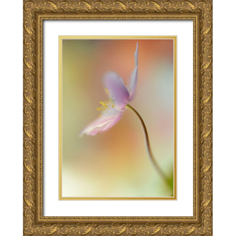 Tender spring Gold Ornate Wood Framed Art Print with Double Matting by Westum, Heidi
