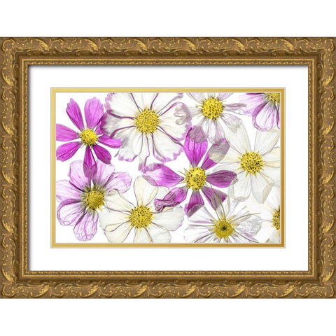 Keeping Summer Gold Ornate Wood Framed Art Print with Double Matting by Disher, Mandy