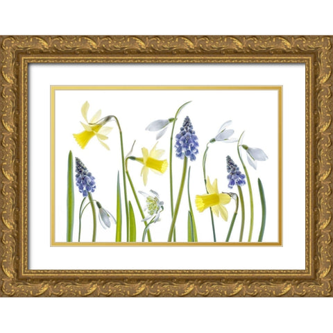 Spring Gold Ornate Wood Framed Art Print with Double Matting by Disher, Mandy
