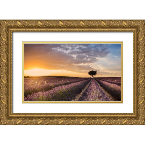 DESTINATION LAVENDER Gold Ornate Wood Framed Art Print with Double Matting by Ros, Fran