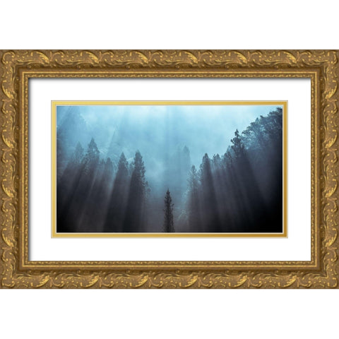 Light to be believed likely Gold Ornate Wood Framed Art Print with Double Matting by Fujii, Tsuneya