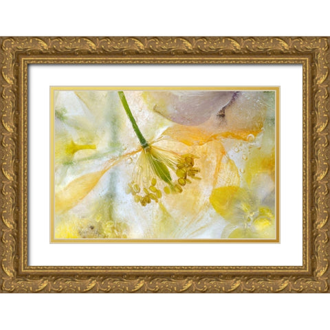 Papaver Ice Gold Ornate Wood Framed Art Print with Double Matting by Disher, Mandy