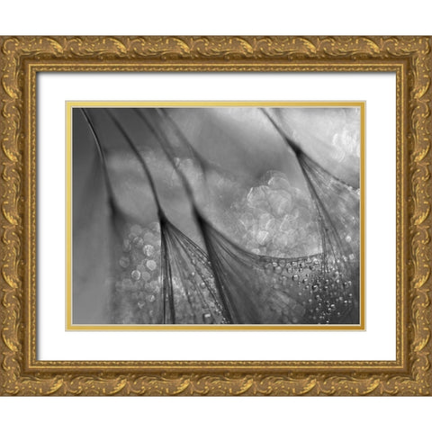 Dandelion Gold Ornate Wood Framed Art Print with Double Matting by Or, Keren