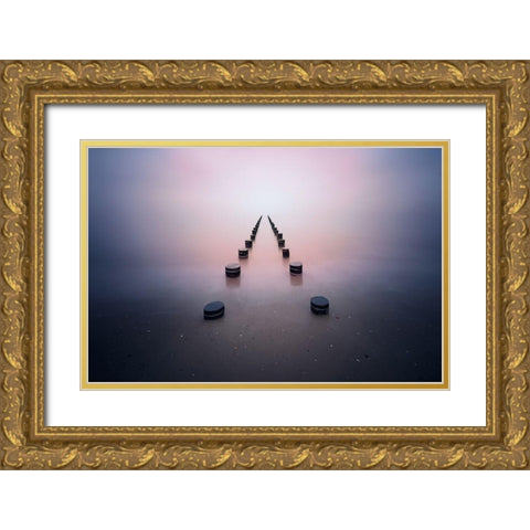 Alone in the silence Gold Ornate Wood Framed Art Print with Double Matting by Jubic, Srecko