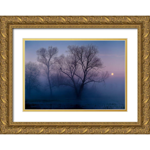 Another new day Gold Ornate Wood Framed Art Print with Double Matting by Agazzi, Andreas