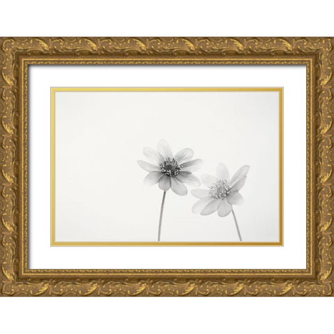 Two small flowers Gold Ornate Wood Framed Art Print with Double Matting by Gronkjar, Lotte