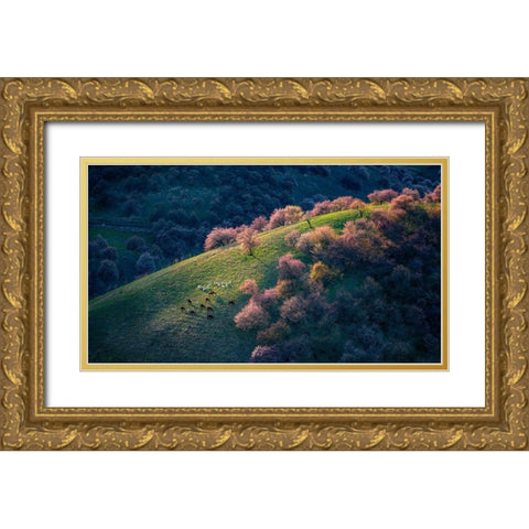 Sunset in the primitive wild apricot forest Gold Ornate Wood Framed Art Print with Double Matting by Zhu, Hua