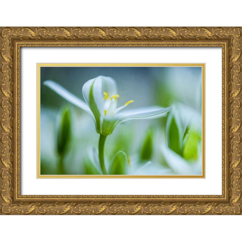 Emerging Gold Ornate Wood Framed Art Print with Double Matting by Eisenmann, Ulrike