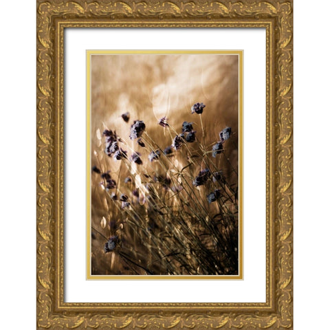 To Be Free in Light Gold Ornate Wood Framed Art Print with Double Matting by Devos, Delphine