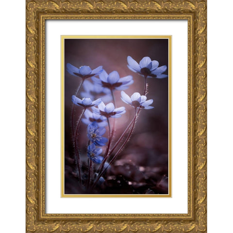 Keep tight Gold Ornate Wood Framed Art Print with Double Matting by Dvorak, Petra