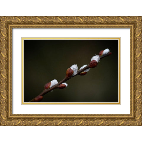 Early spring Gold Ornate Wood Framed Art Print with Double Matting by Cseresnjes, Anna