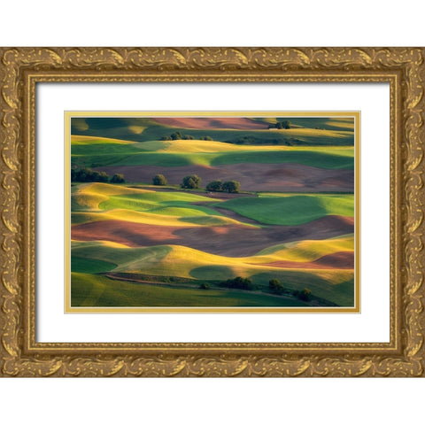 Colorful Palouse Gold Ornate Wood Framed Art Print with Double Matting by Macua, Gerald