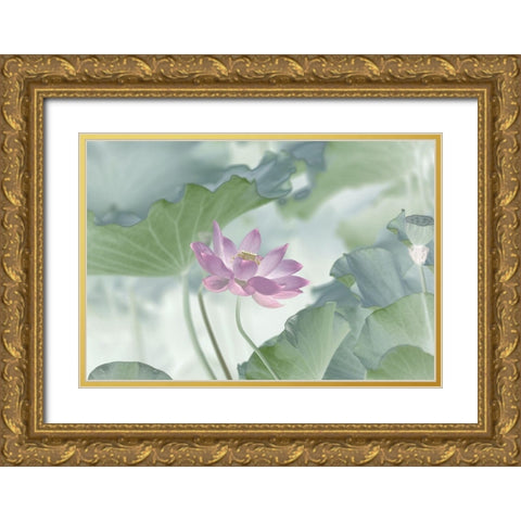 Lotus Gold Ornate Wood Framed Art Print with Double Matting by Lu, Binbin