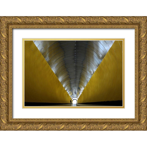 the musician Gold Ornate Wood Framed Art Print with Double Matting by Lenzen, Klaus