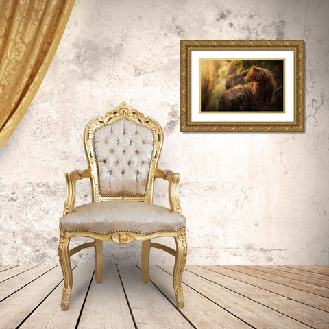Brown bear during sunset Gold Ornate Wood Framed Art Print with Double Matting by Saavedra Ruiz, Sergio