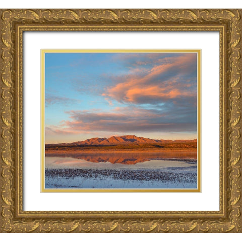 Crane Pool at Bosque del Apache NWR -NM Gold Ornate Wood Framed Art Print with Double Matting by Fitzharris, Tim