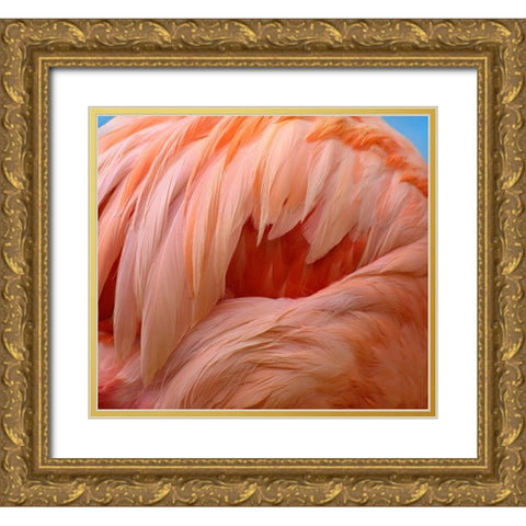 Caribbean Greater Flamingo Gold Ornate Wood Framed Art Print with Double Matting by Fitzharris, Tim