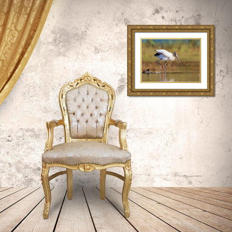 Wood Stork Gold Ornate Wood Framed Art Print with Double Matting by Fitzharris, Tim