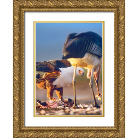 African Fish Eagle and Marabou over Flamigo Carcass-Kenya Gold Ornate Wood Framed Art Print with Double Matting by Fitzharris, Tim