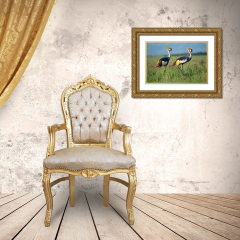 Crowned Cranes Pair Gold Ornate Wood Framed Art Print with Double Matting by Fitzharris, Tim