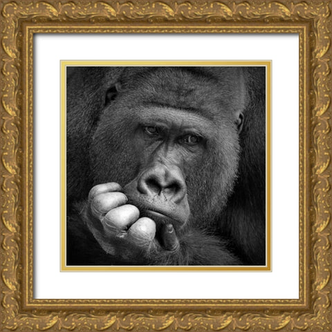 I had a Dream Gold Ornate Wood Framed Art Print with Double Matting by Wenner-Braun, Antje