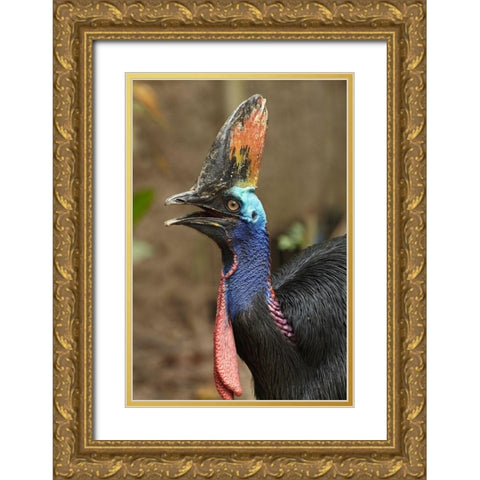 Cassowary Gold Ornate Wood Framed Art Print with Double Matting by Fitzharris, Tim