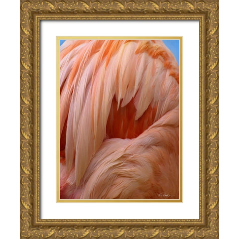 Caribbean Greater Flamingo Close-up of Back Gold Ornate Wood Framed Art Print with Double Matting by Fitzharris, Tim