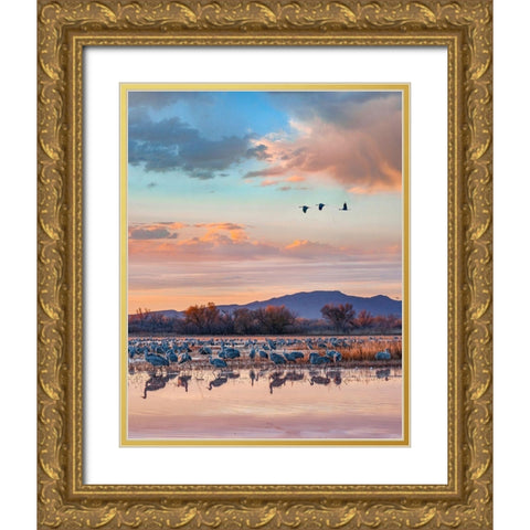Sandhill Cranes-Bosque del Apache National Wildlife Refuge-New Mexico II Gold Ornate Wood Framed Art Print with Double Matting by Fitzharris, Tim