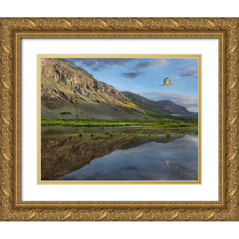 Dome Mountain and Animas River near Silverton-Colorado Gold Ornate Wood Framed Art Print with Double Matting by Fitzharris, Tim