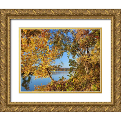 Lake Sequoyah Autumn-Arkansas Gold Ornate Wood Framed Art Print with Double Matting by Fitzharris, Tim